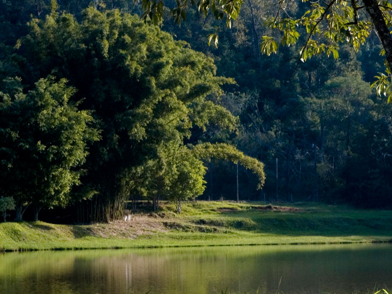 Confira os projetos aprovados na sessão do dia 03 de agosto