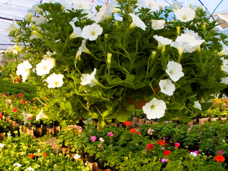 Nova Mesa Diretora da Câmara Municipal